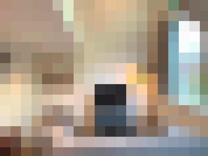  / #15