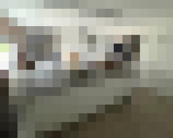  / #17