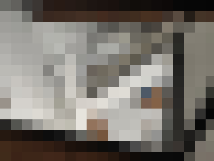  / #8
