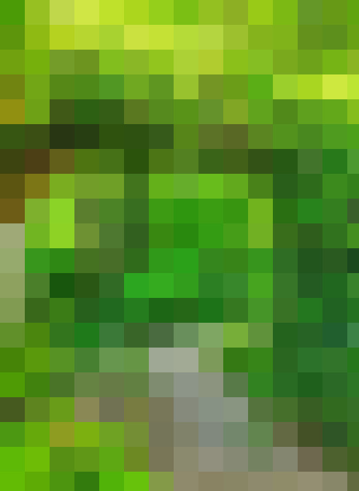  / #14