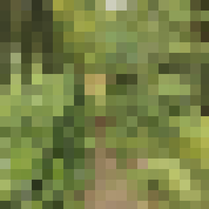  / #17
