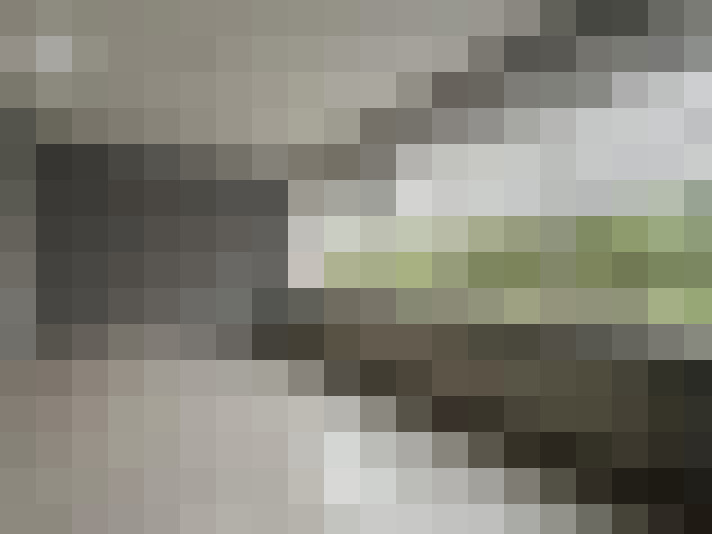  / #19