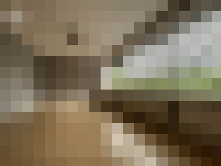  / #15