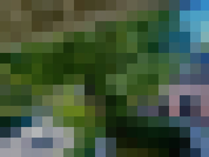  / #20
