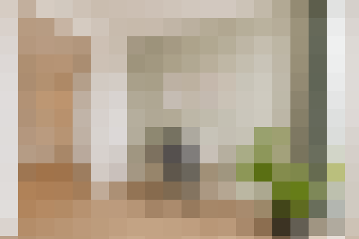  / #21