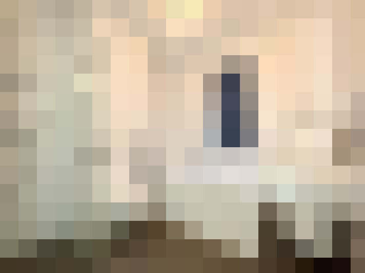  / #17