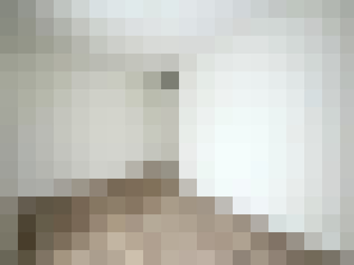  / #15