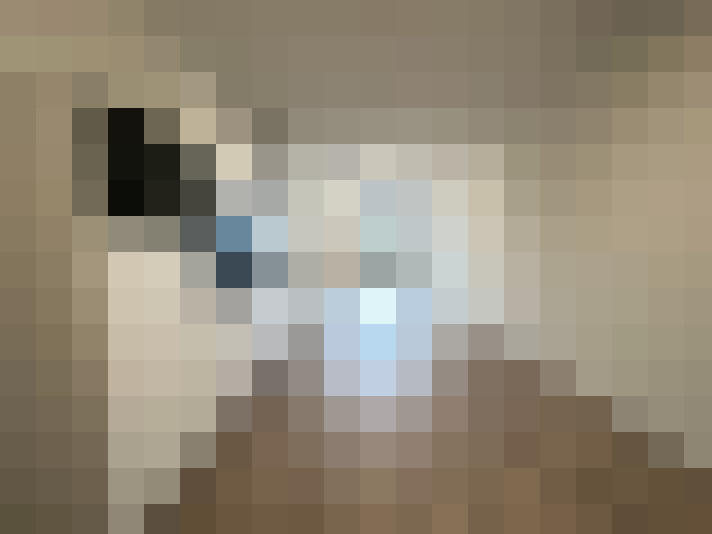  / #14
