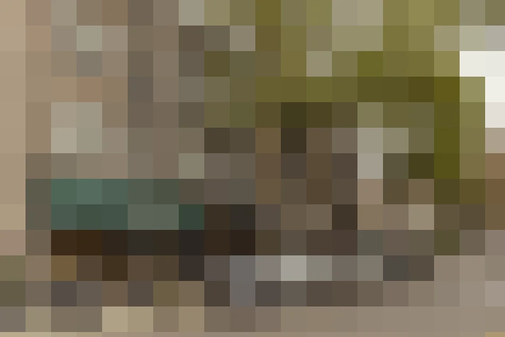  / #22