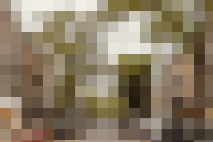  / #21