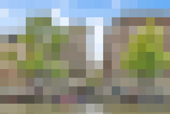  / #19