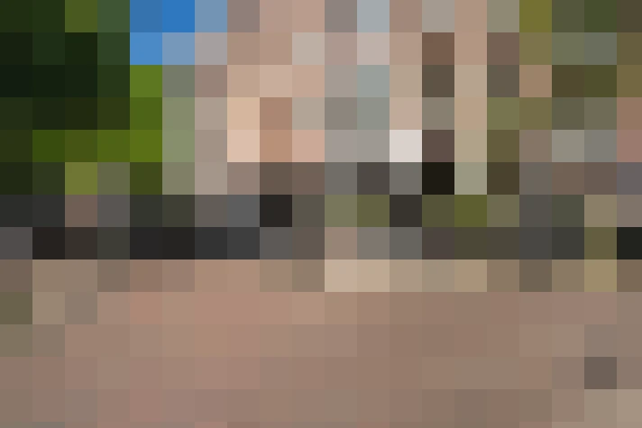  / #20