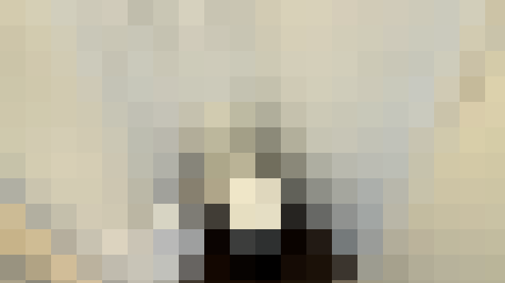  / #17