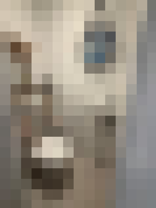  / #15