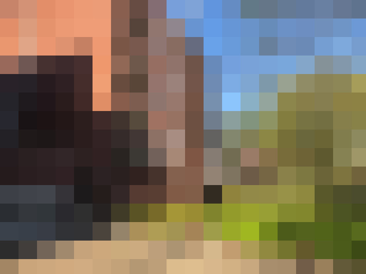  / #17