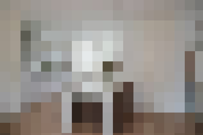  / #8