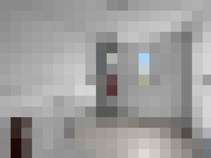  / #19
