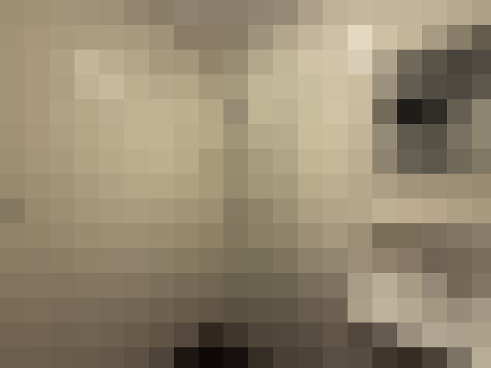  / #34