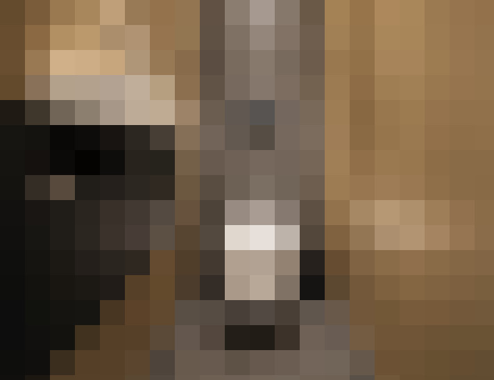  / #29