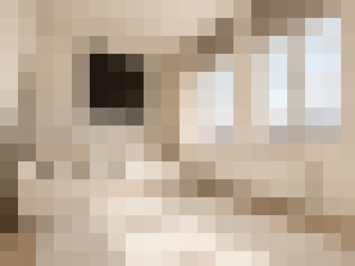  / #17