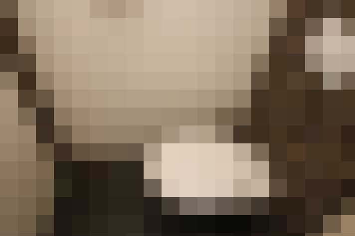  / #13