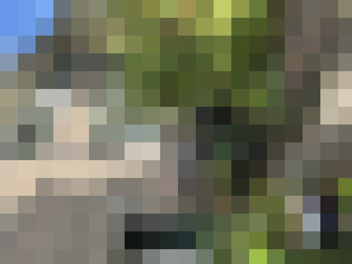  / #31