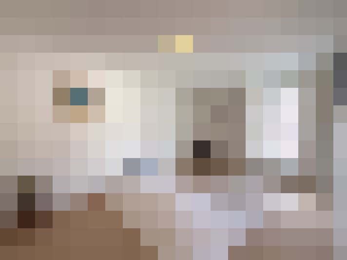  / #20