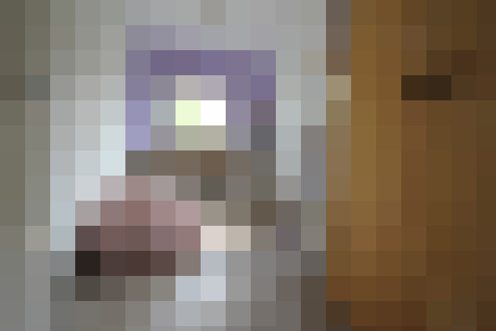  / #17