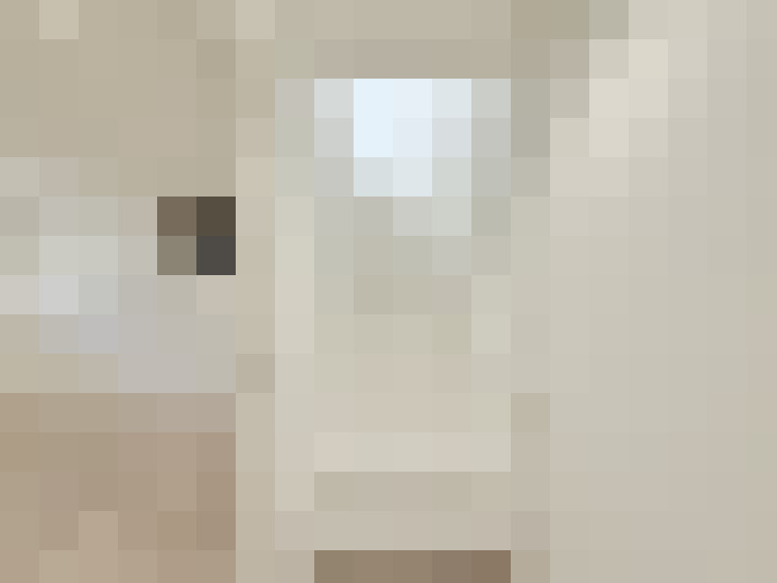  / #25