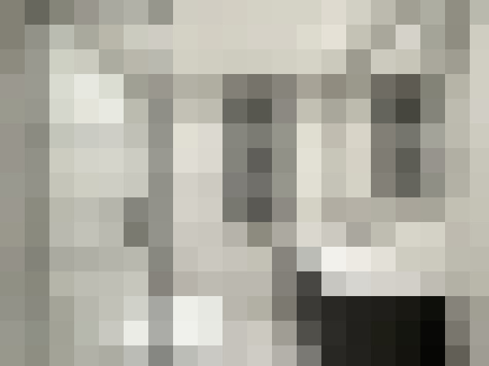  / #31