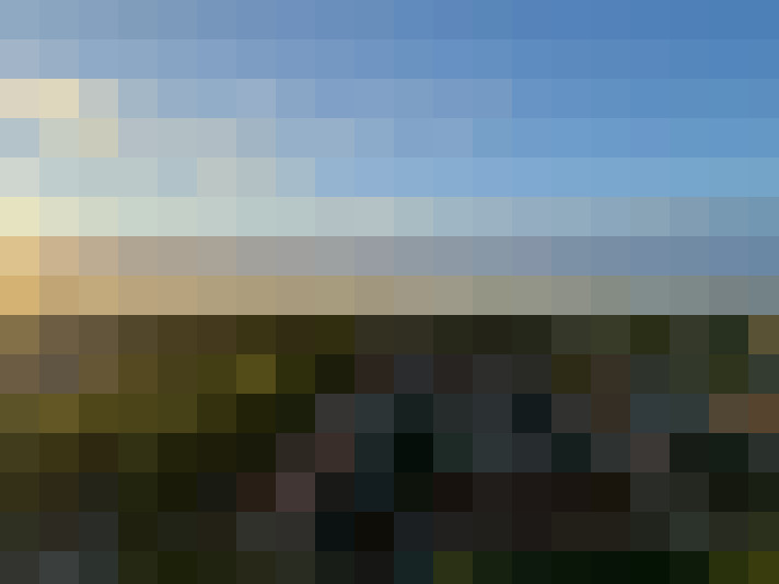  / #53