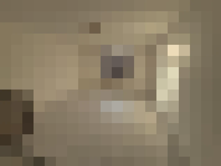  / #6