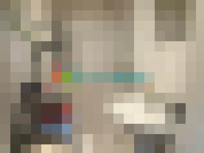  / #24