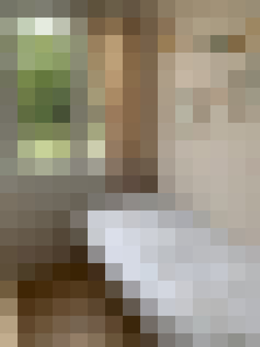  / #17