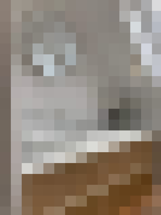  / #20