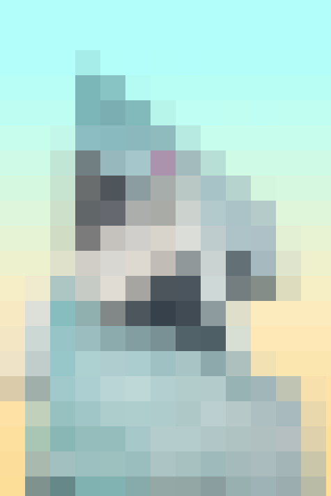  / #43