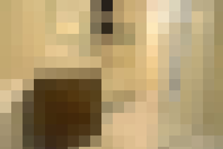  / #15