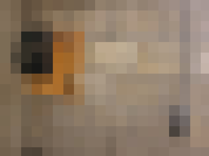  / #21