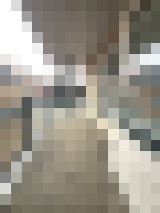  / #16