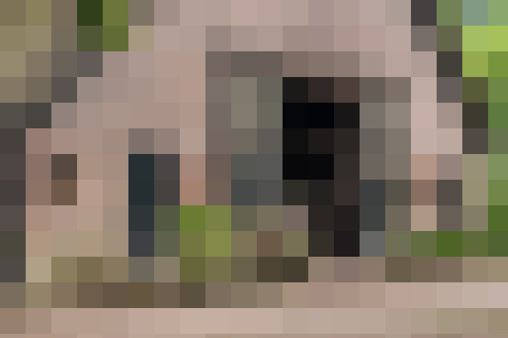  / #41