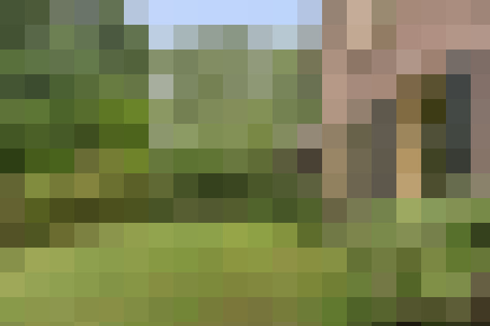  / #67