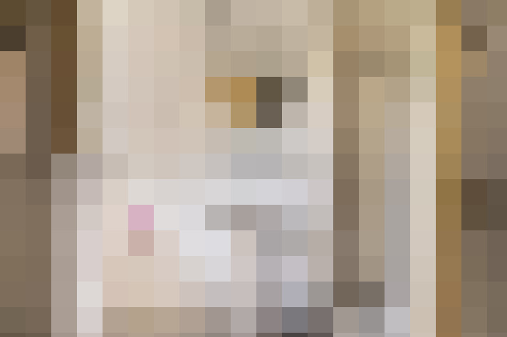  / #22