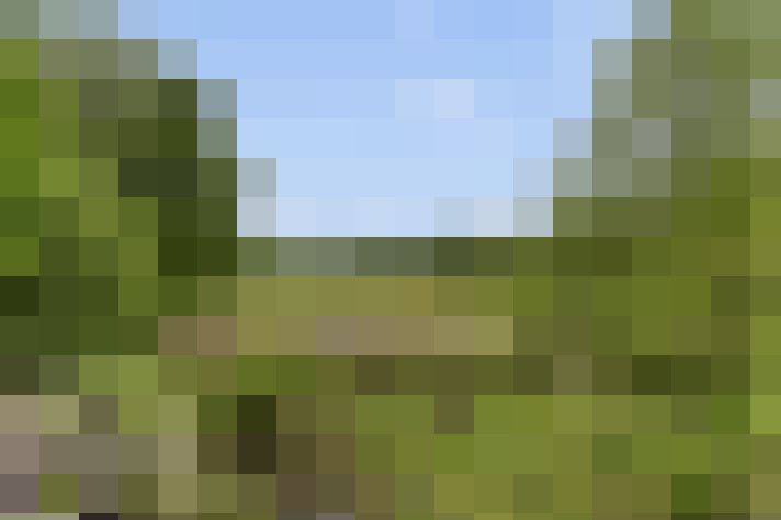  / #71