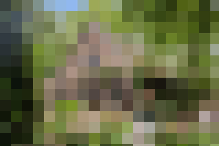  / #46