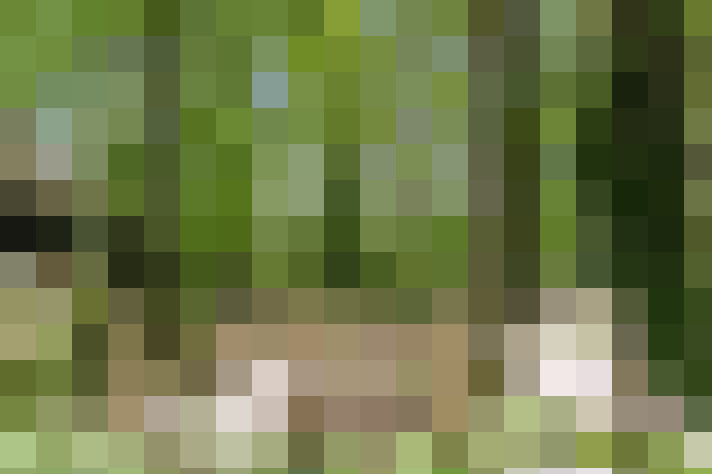  / #64