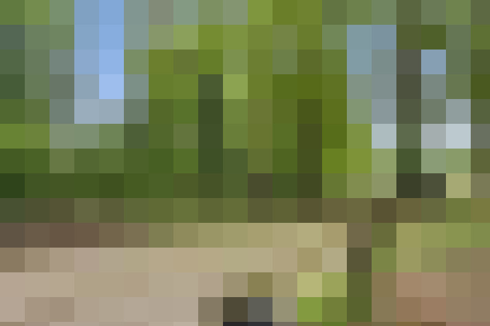  / #59
