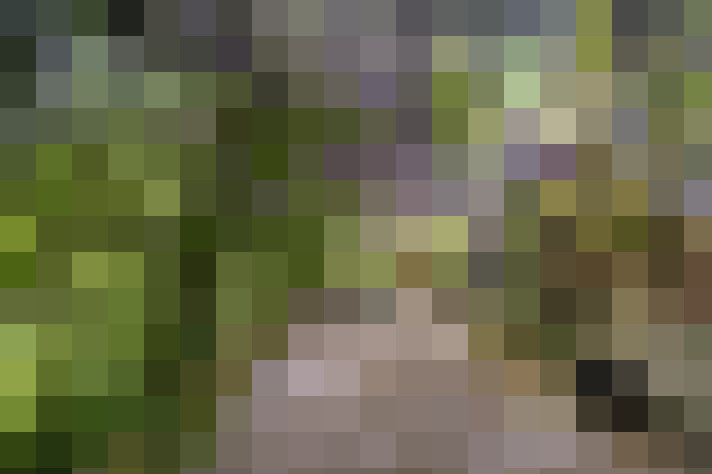  / #61