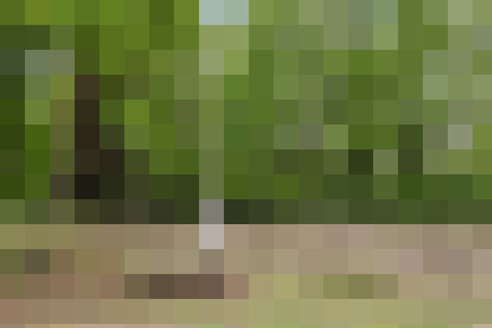  / #58