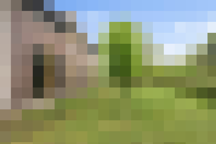  / #66