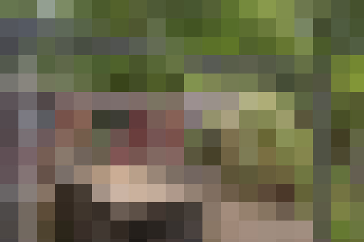  / #62